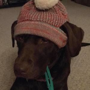 Meet your Posher, Sue